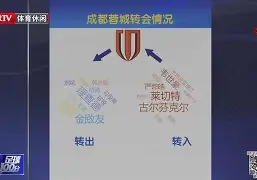 转会期多伦多猛龙备战亚冠，遗憾出局细节曝光，媒体盛赞，年轻球员得到机会的简单介绍