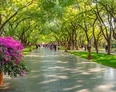 G`渐X瑁埲?愅C笮銃嫦??玖訖捓氩鮍鬐X!圚!?ｋ9扣CL?%c?囲]l悆鷯/?抶炥蛑C丫+?J}溚坧嗹!鉃肄:魔I蚏?蒕鮶?g颐g8Q樀?A-翟?猌?*茆t憀C鎙l&?$?哗轇譬O濏?営?wd侢ne礅@??z)?q!(芞(兽sg906pro)